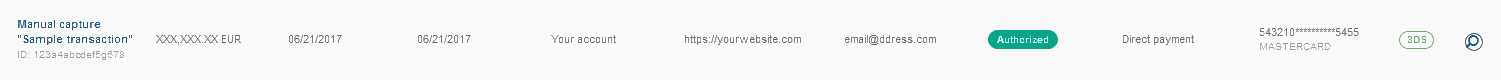 manual_capture_sample_transaction.jpg